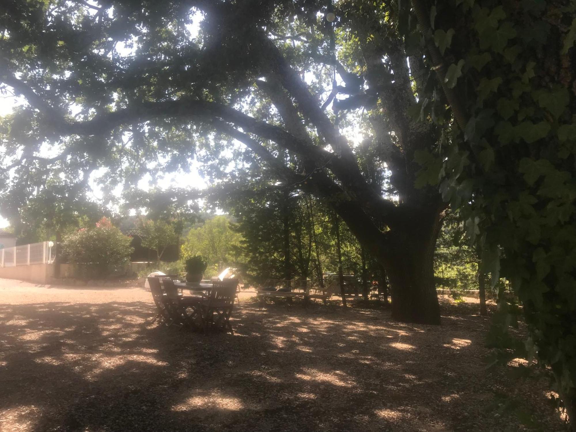 Gites Le Mas Du Vieux Chene 살라바스 외부 사진